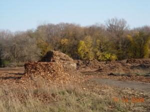 Leaves from trees in the city of Kalamazoo dumped at Colony Farm Orchard