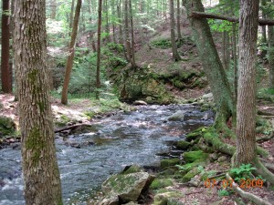 Stream at Rock House Reservation, West Brookfield MA, a preserve of The Trustees of Reservations, the first land trust.  Photo by Richard Brewer.